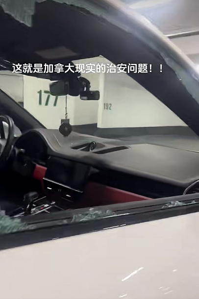 太乱了！中国留学生惨遭砸车偷走大鹅和护照（组图） - 4