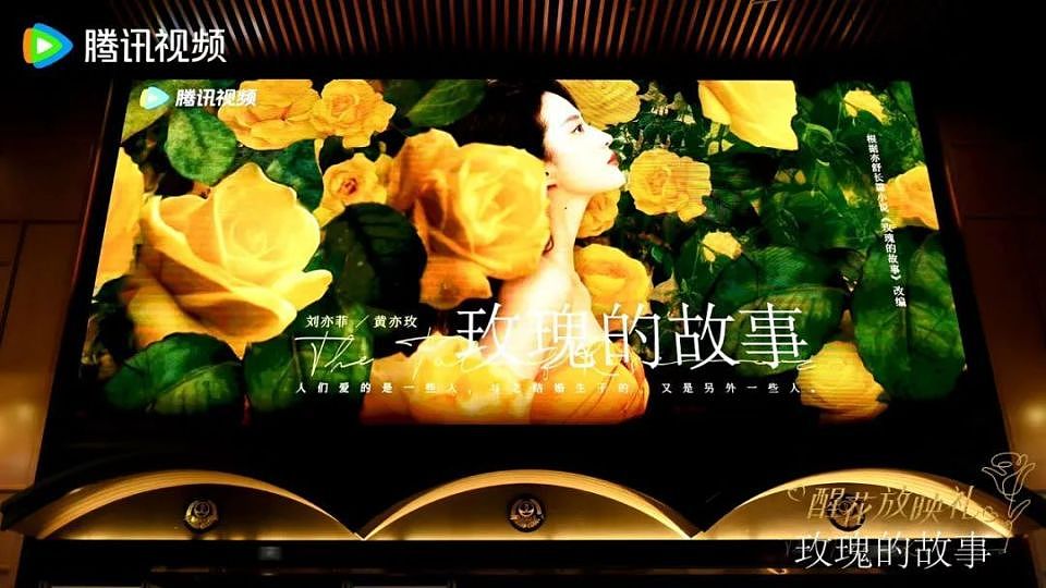 《玫瑰的故事》今晚央视开播！刘亦菲至今没结婚的原因冲上热搜（组图） - 7