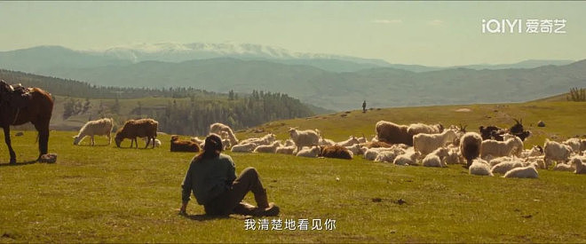 第一批去新疆阿勒泰放羊的人，已经哭着回来了（组图） - 3