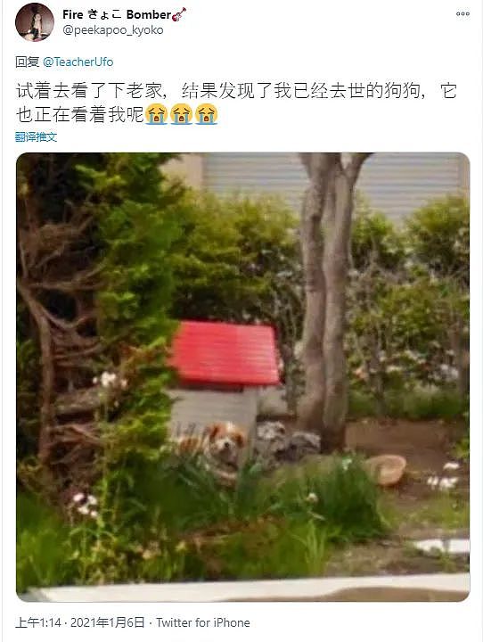 日本网友随手用谷歌街景看了一眼老家！看到一幕，让他当场泪如雨下…（组图） - 9