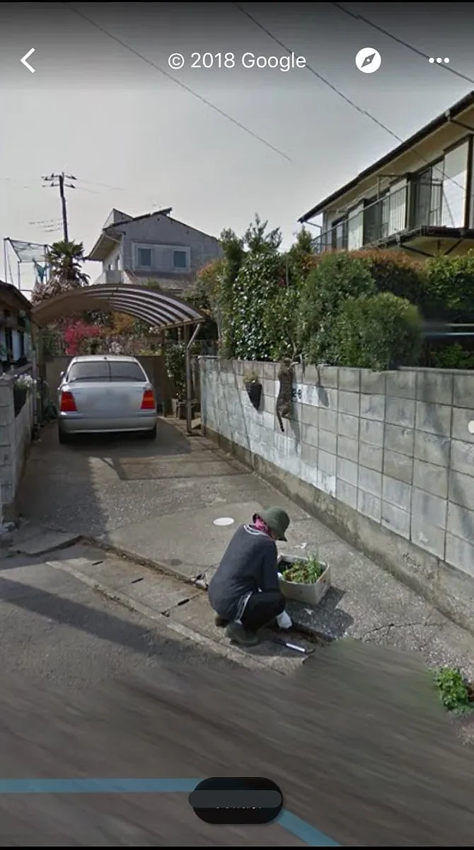 日本网友随手用谷歌街景看了一眼老家！看到一幕，让他当场泪如雨下…（组图） - 8