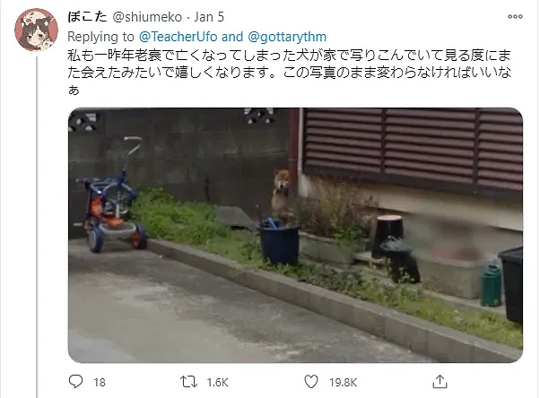 日本网友随手用谷歌街景看了一眼老家！看到一幕，让他当场泪如雨下…（组图） - 5