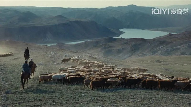 第一批去新疆阿勒泰放羊的人，已经哭着回来了（组图） - 1