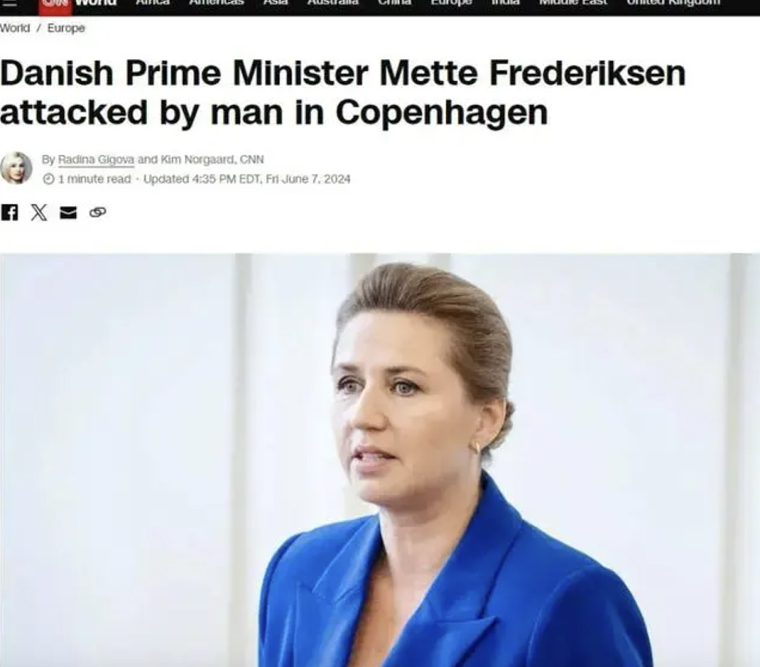 丹麦首相竟当街被“殴打”？男子被判处12天监禁，欧洲震怒的背后……（组图） - 3
