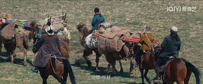 第一批去新疆阿勒泰放羊的人，已经哭着回来了（组图） - 8