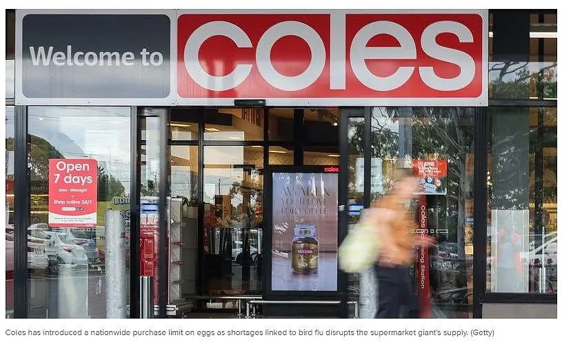 南澳公校基础设施计划公布；澳洲最适宜房产投资的10个郊区，南澳上榜；Coles超市实行鸡蛋限购！（组图） - 7