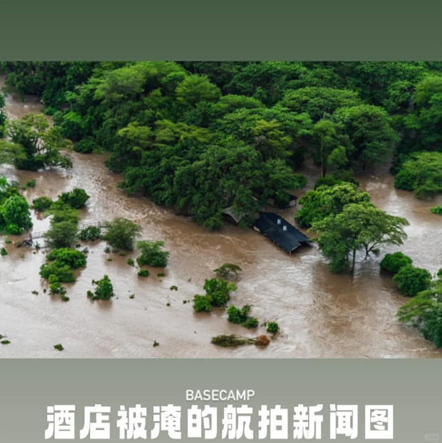 中国女生境外旅游遇大洪水！光腿挂树上12小时，“我用耳环戳自己，怕睡过去......”（组图） - 14