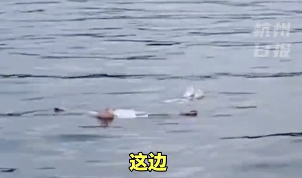女子西湖溺水冷静“躺平”自救！黄金3分钟快艇赶到救上岸（视频/组图） - 1