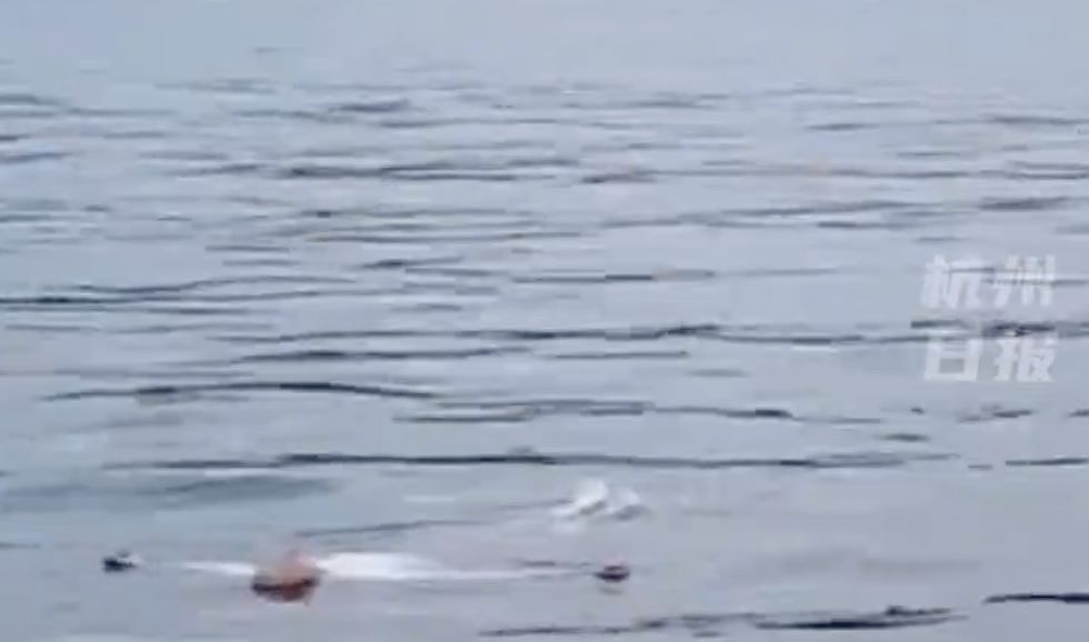 女子西湖溺水冷静“躺平”自救！黄金3分钟快艇赶到救上岸（视频/组图） - 2