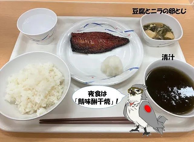 日本人说解放军没有战斗力了，理由是吃的食物太好（组图） - 10