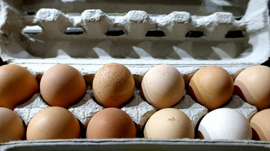事态升级！维州数百万鸡蛋被“秘密转移”？澳洲政府发紧急通告！（组图） - 31