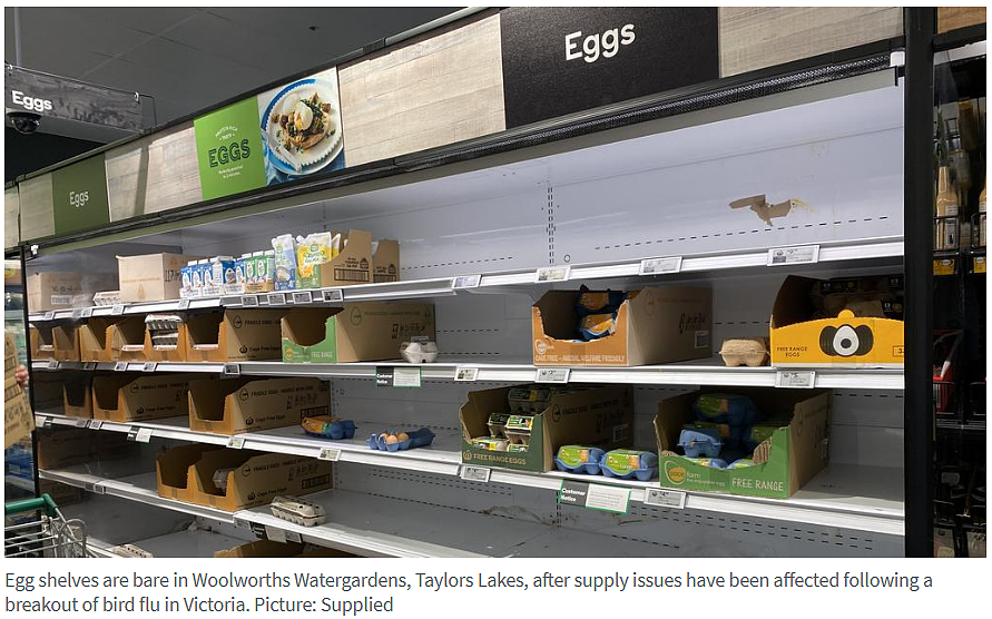 事态升级！维州数百万鸡蛋被“秘密转移”？澳洲政府发紧急通告！（组图） - 10