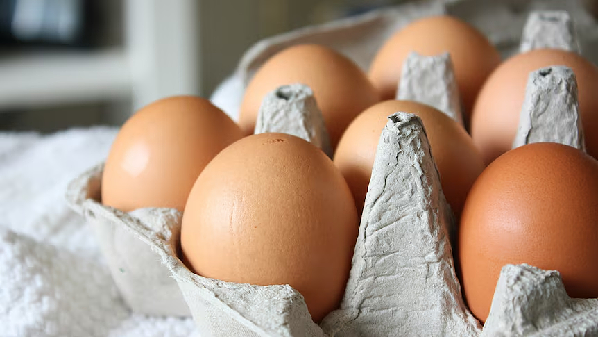 澳洲超市鸡蛋标签太多？不知道怎么选？一篇文章告诉你怎么辨别鸡蛋（组图） - 13