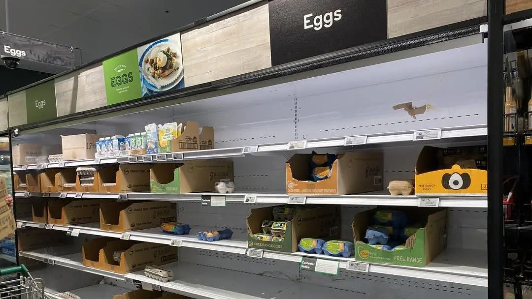 澳洲超市鸡蛋标签太多？不知道怎么选？一篇文章告诉你怎么辨别鸡蛋（组图） - 11