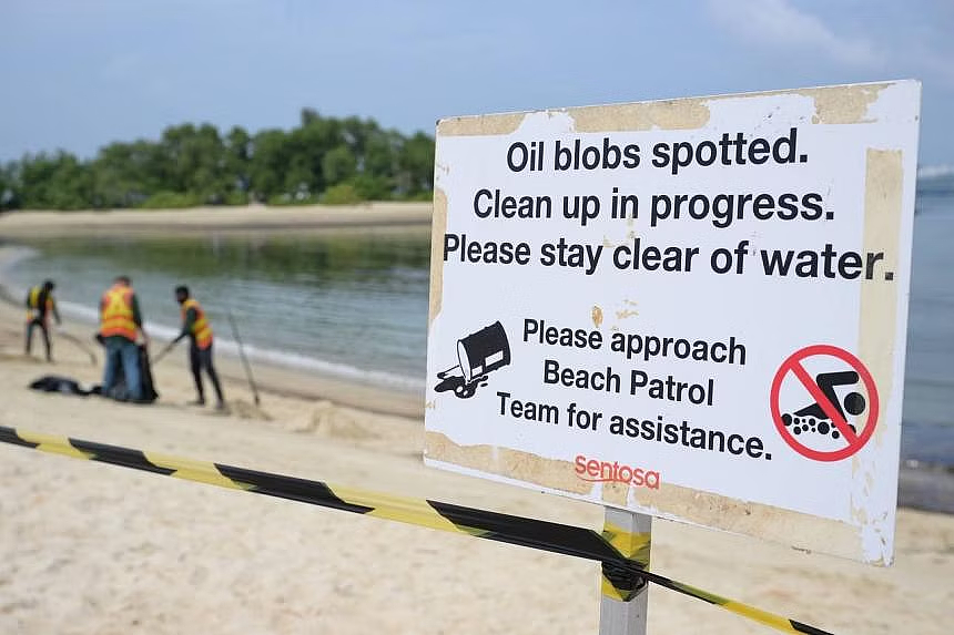 新加坡燃油泄露宛如末日：沙滩变废土、海水成黑油、人们头疼咳嗽撤离…（组图） - 35