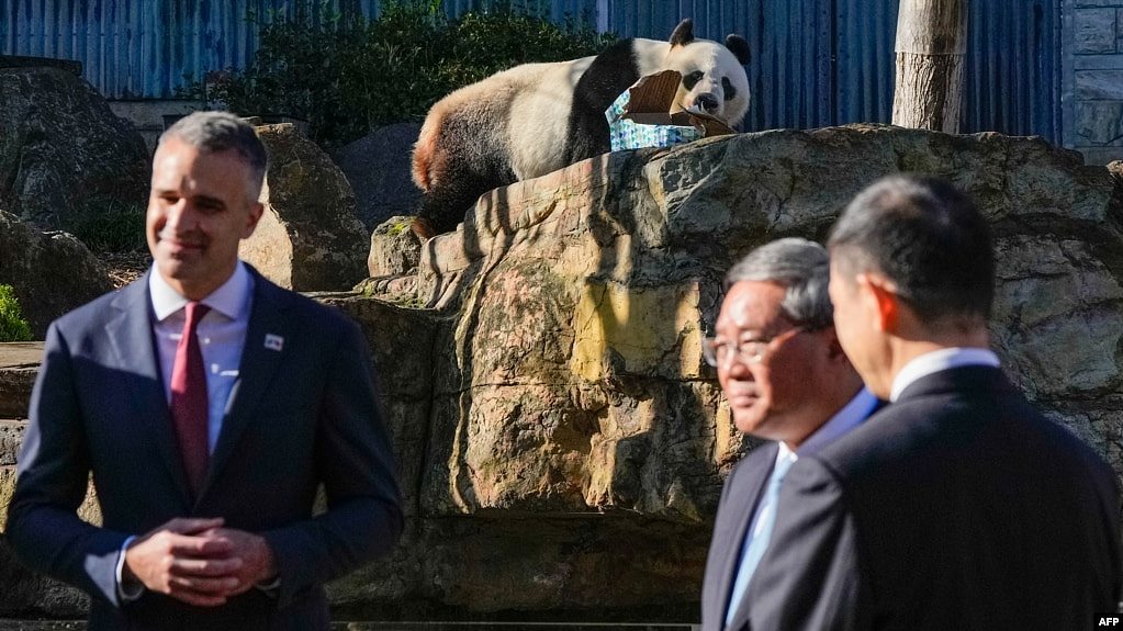 李强访澳表示将延续熊猫外交，并访问葡萄酒产区象征澳中贸易关系好转（图） - 1