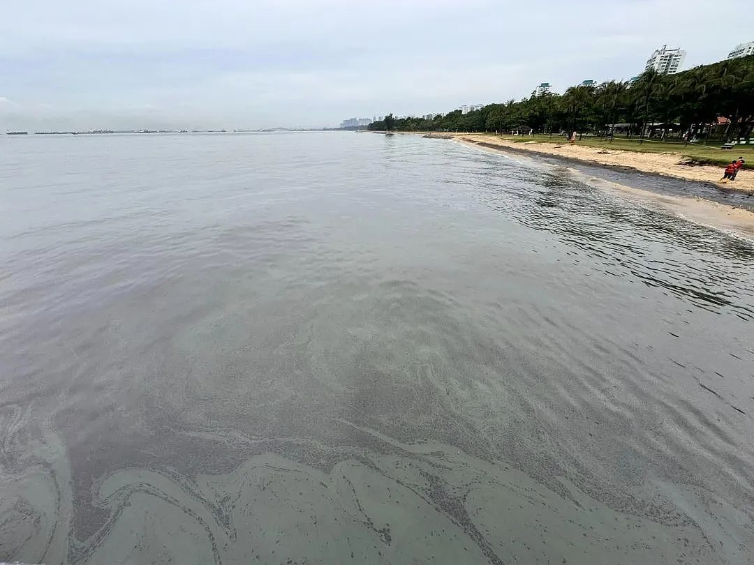 新加坡燃油泄露宛如末日：沙滩变废土、海水成黑油、人们头疼咳嗽撤离…（组图） - 10