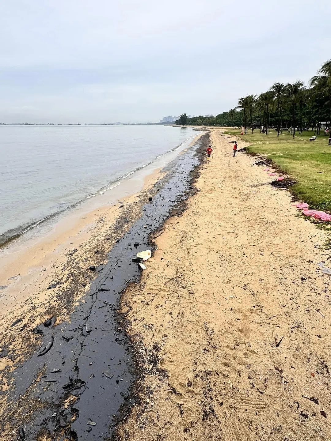 新加坡燃油泄露宛如末日：沙滩变废土、海水成黑油、人们头疼咳嗽撤离…（组图） - 13