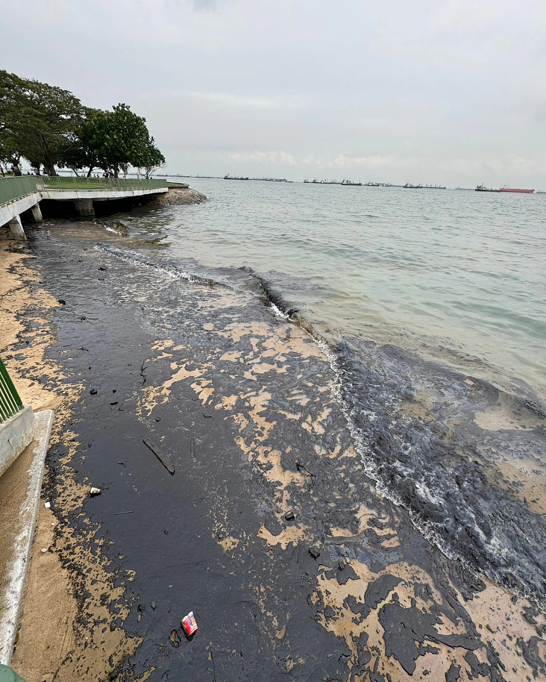 新加坡燃油泄露宛如末日：沙滩变废土、海水成黑油、人们头疼咳嗽撤离…（组图） - 26
