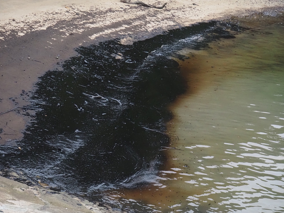 新加坡燃油泄露宛如末日：沙滩变废土、海水成黑油、人们头疼咳嗽撤离…（组图） - 28