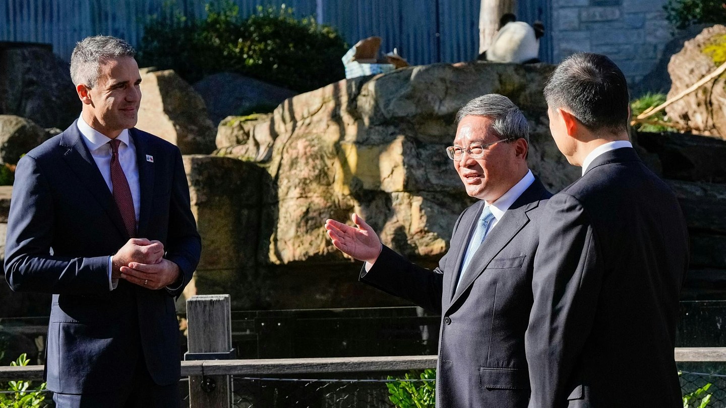 做法罕见！中国让澳洲某程度“自选熊猫”，澳媒指北京借此发讯息（组图） - 2