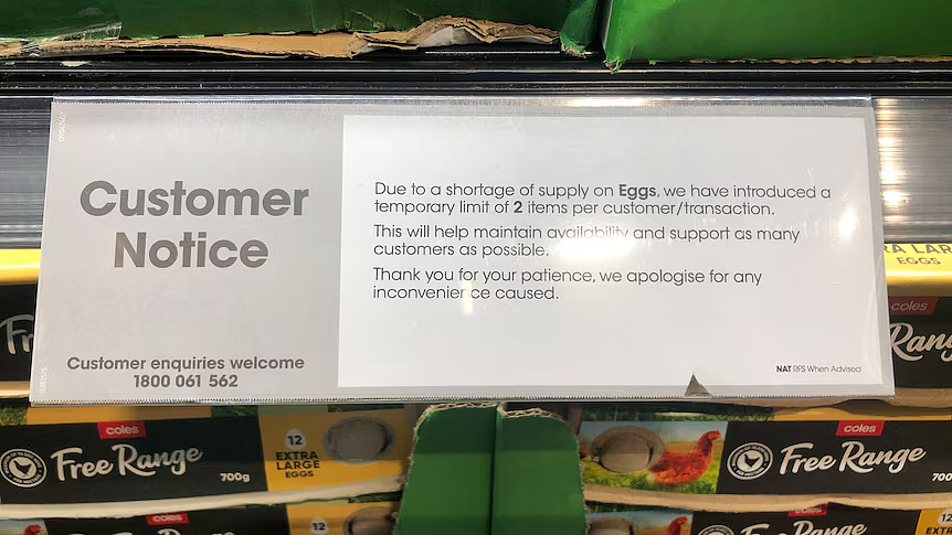澳洲超市鸡蛋标签太多？不知道怎么选？一篇文章告诉你怎么辨别鸡蛋（组图） - 12