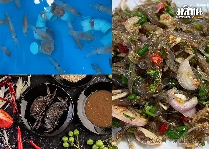 中国游客在泰国吃了这道菜，回国查出一肚子虫...（组图） - 7
