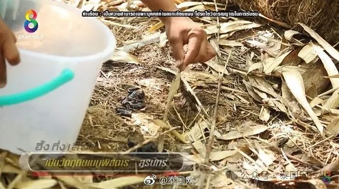 中国游客在泰国吃了这道菜，回国查出一肚子虫...（组图） - 21