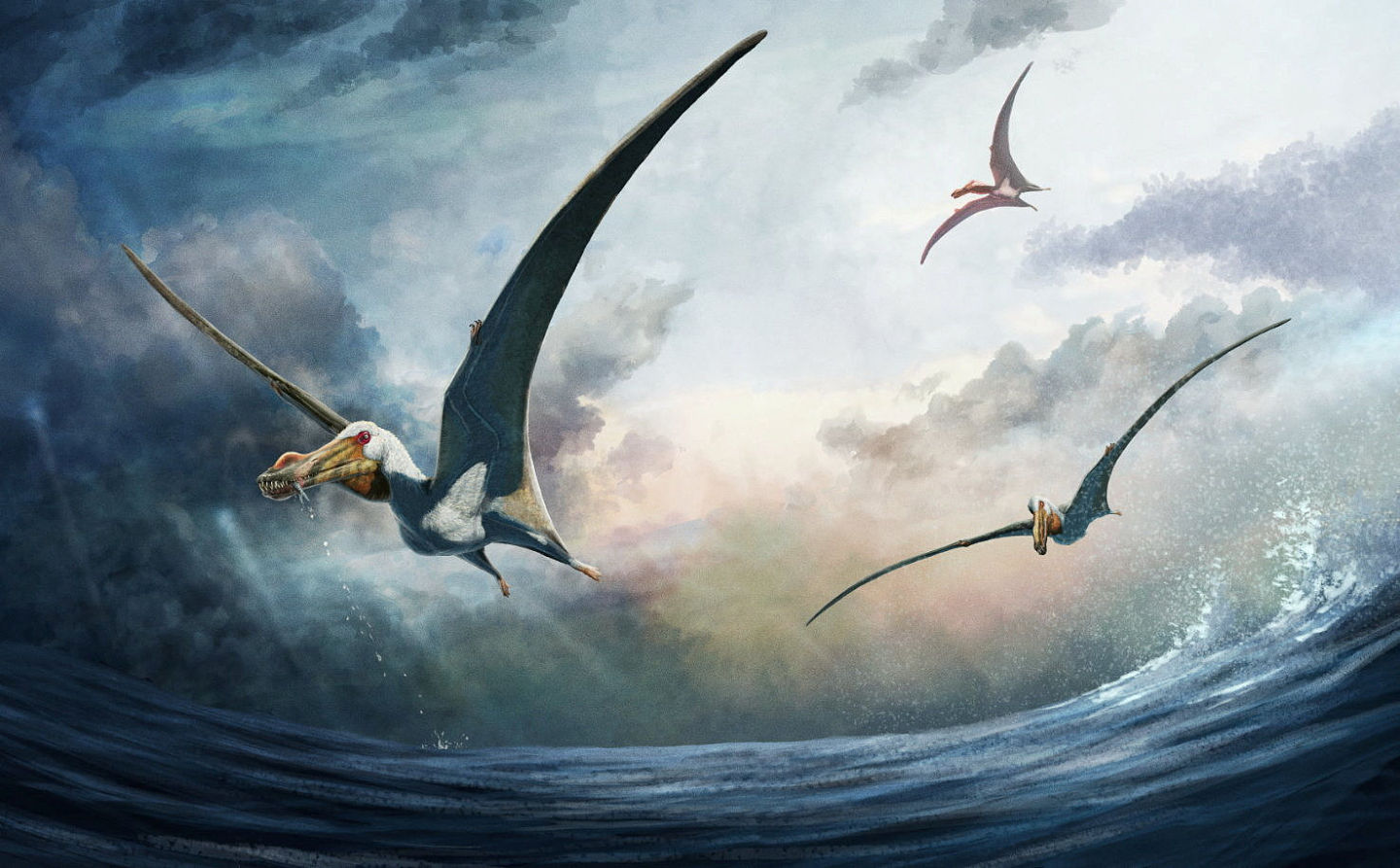 翼展4.6公尺空中制霸！澳洲发现1亿年前“海幽灵”翼龙化石（图） - 1