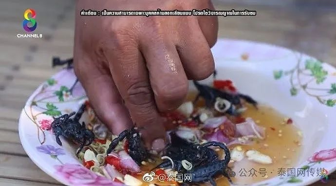 中国游客在泰国吃了这道菜，回国查出一肚子虫...（组图） - 24