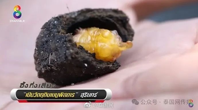 中国游客在泰国吃了这道菜，回国查出一肚子虫...（组图） - 20