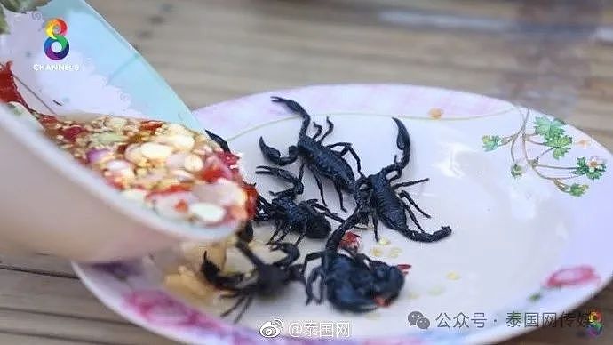 中国游客在泰国吃了这道菜，回国查出一肚子虫...（组图） - 23