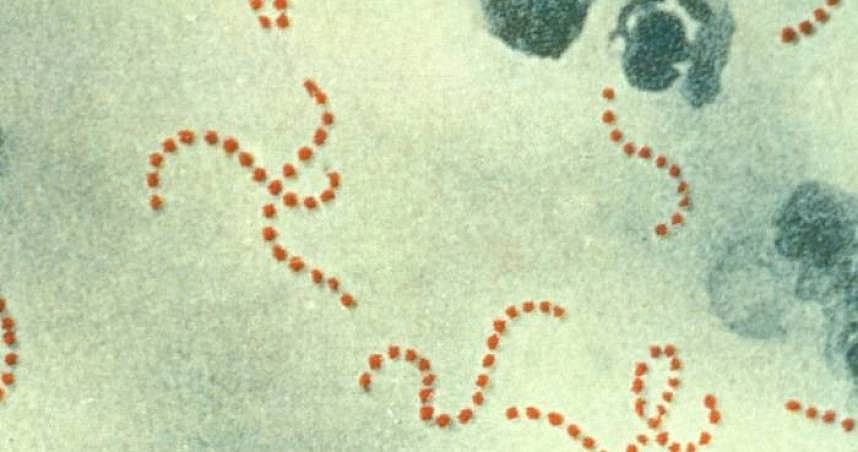日本食人菌疫情大爆发，内地专家：或传染到国内　高危人士勿赴日（组图） - 1