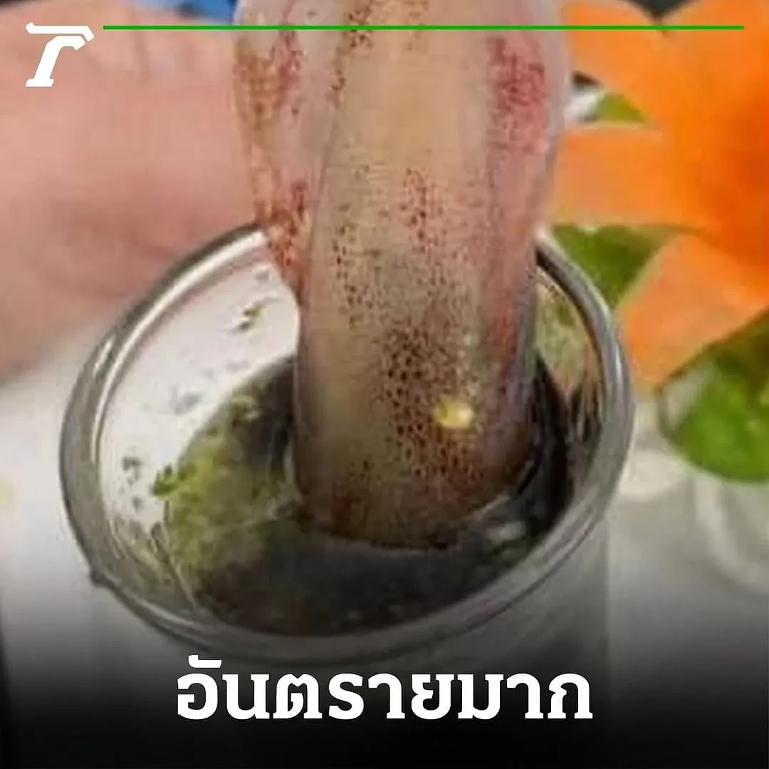 华男在泰国吃了这道美食，回国检查一肚子虫！东南亚这些奇葩食物，还敢下嘴吗（组图） - 12