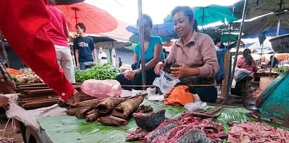 华男在泰国吃了这道美食，回国检查一肚子虫！东南亚这些奇葩食物，还敢下嘴吗（组图） - 23