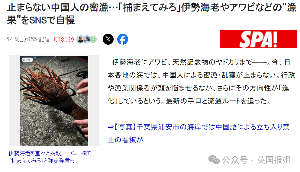 中国游客日本赶海，狂捞龙虾鲍鱼被罚几万差点坐牢？有人竟放言挑衅“来抓我呀？”（组图） - 2