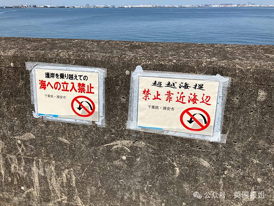 中国游客日本赶海，狂捞龙虾鲍鱼被罚几万差点坐牢？有人竟放言挑衅“来抓我呀？”（组图） - 5
