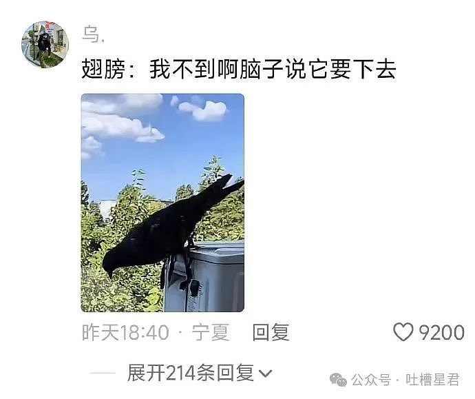 “老公不小心将家里装修成派出所？进门后...”啊啊淦你俩在家要玩铐sir扑来吗？（组图） - 48