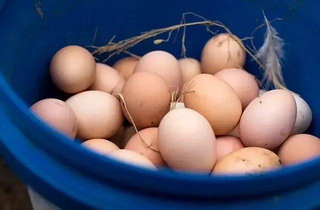 早上吃一个水煮鸡蛋，一段时间会有啥变化？建议：肝不好的来看看（组图） - 12