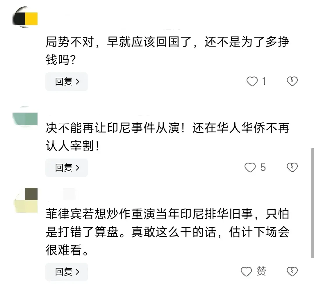 中菲冲突持续发酵！当地华人不敢出门，反华情绪死灰复燃，神秘华人女市长被指控（视频/组图） - 9