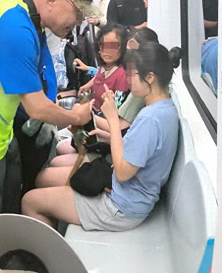 北京地铁上一女子疑因不让座，遭老人拐杖骚扰？警方通报（视频/组图） - 1