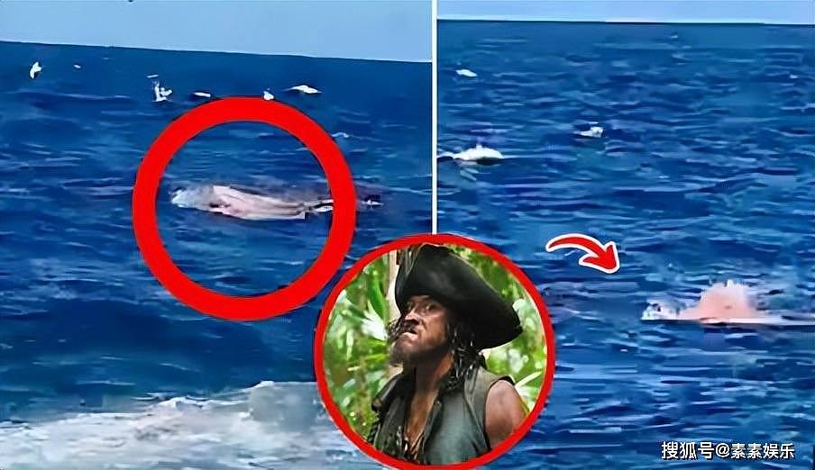 悲剧！《加勒比海盗》演员遭鲨鱼攻击身亡，手脚被咬断，遇害画面曝光（组图） - 7