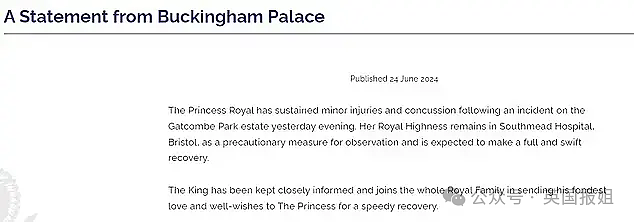 英王室又出事！凯特王妃刚带三娃露面，73岁安妮公主疑突然坠马脑震荡失忆，仍未出院（组图） - 11