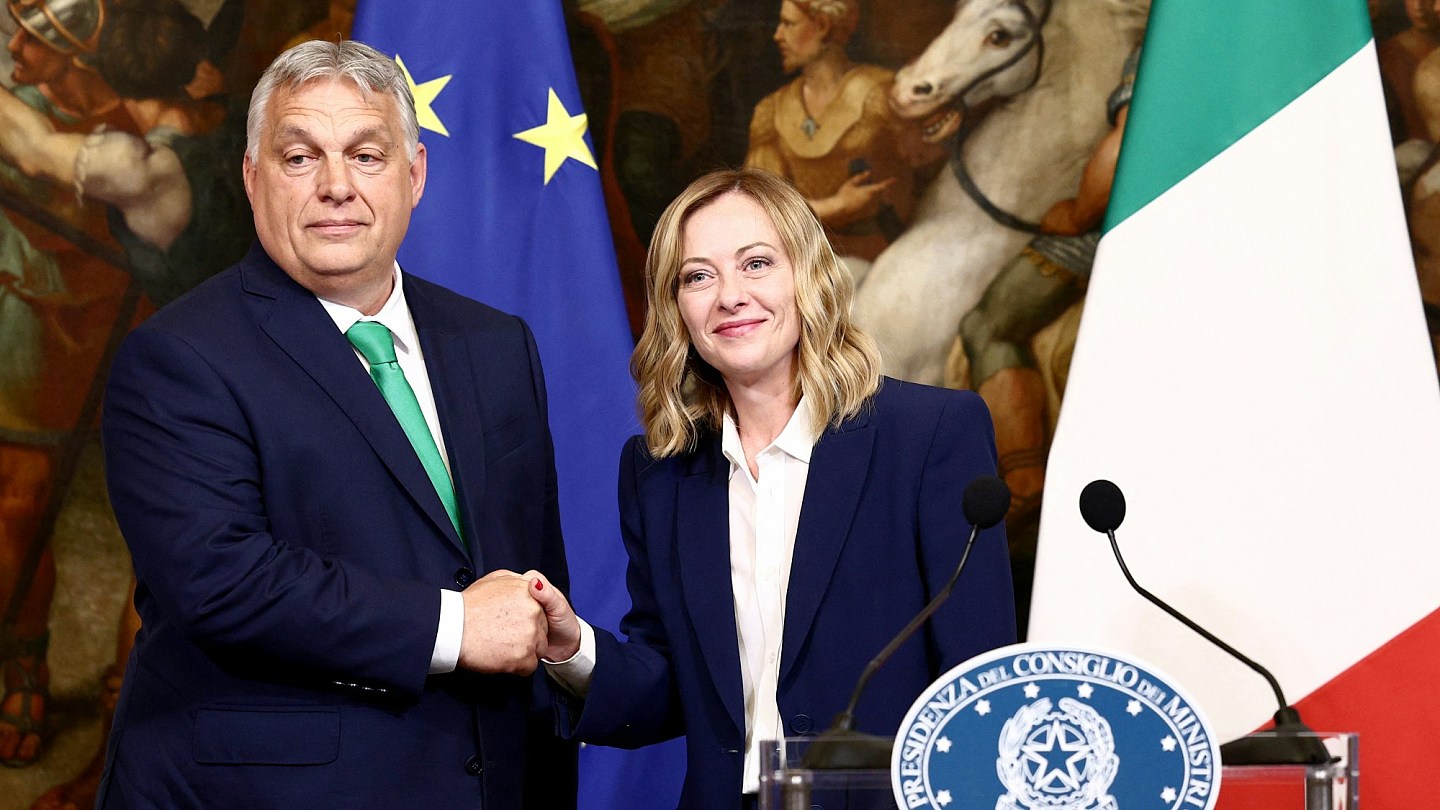 欧盟多数领导人同意冯德莱恩连任，意大利弃权匈牙利反对（组图） - 3