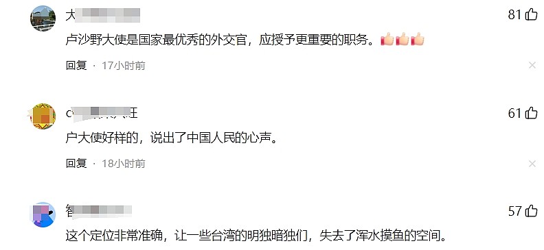 台湾是叛乱政权！中国外交官卢沙野再发雷人言论引热议，台官方驳斥（组图） - 2