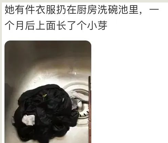 父母每三个月飞澳洲帮忙洗衣服？中国留学生巨婴行为被骂疯（组图） - 6