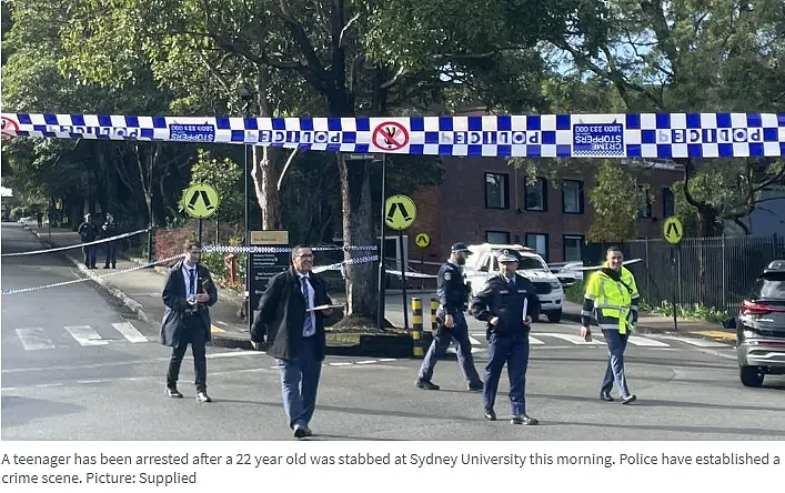 汽车冲撞人群，9死4伤；“同胞们不帮我”，16岁中国留学生被种族辱骂及铁棒殴打；14岁男孩在悉尼大学捅人（组图） - 10