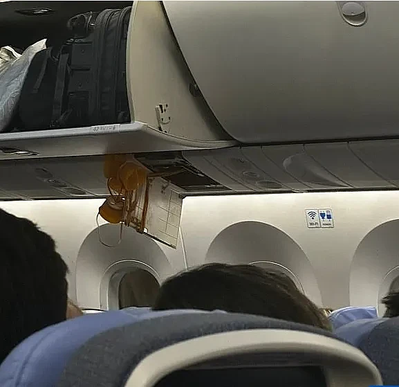 飞机遇恐怖气流，30人受伤！有人被甩飞挂顶上！天花板撕裂，座位都颠烂了（视频/组图） - 3