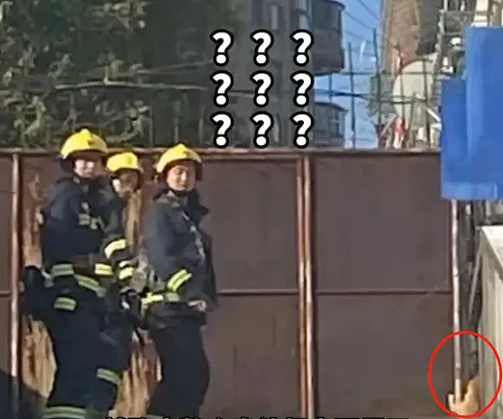 【宠物】消防员高楼救猫时，大姐看热闹吃瓜，突然眼熟：这不就是我家逆子（组图） - 16