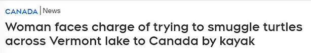 惊了！华人被捕！因走私濒危动物：划船潜入加拿大！每只$1000（组图） - 2